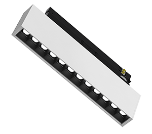 Evelo 12 Track Mounted