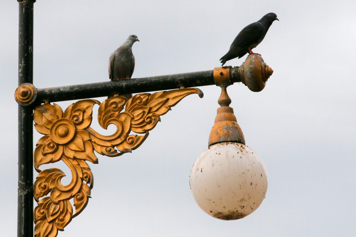 Outdoor Light Fittings